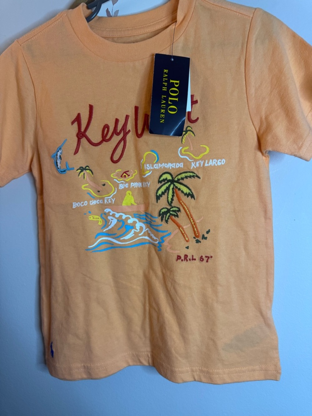 Polo by Ralph Lauren Kids Peach Island Graphic Tee
